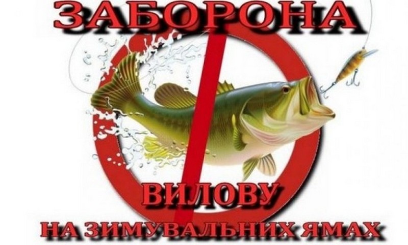 З 1 листопада на Закарпатті стартує заборона на лов риби на зимувальних ямах