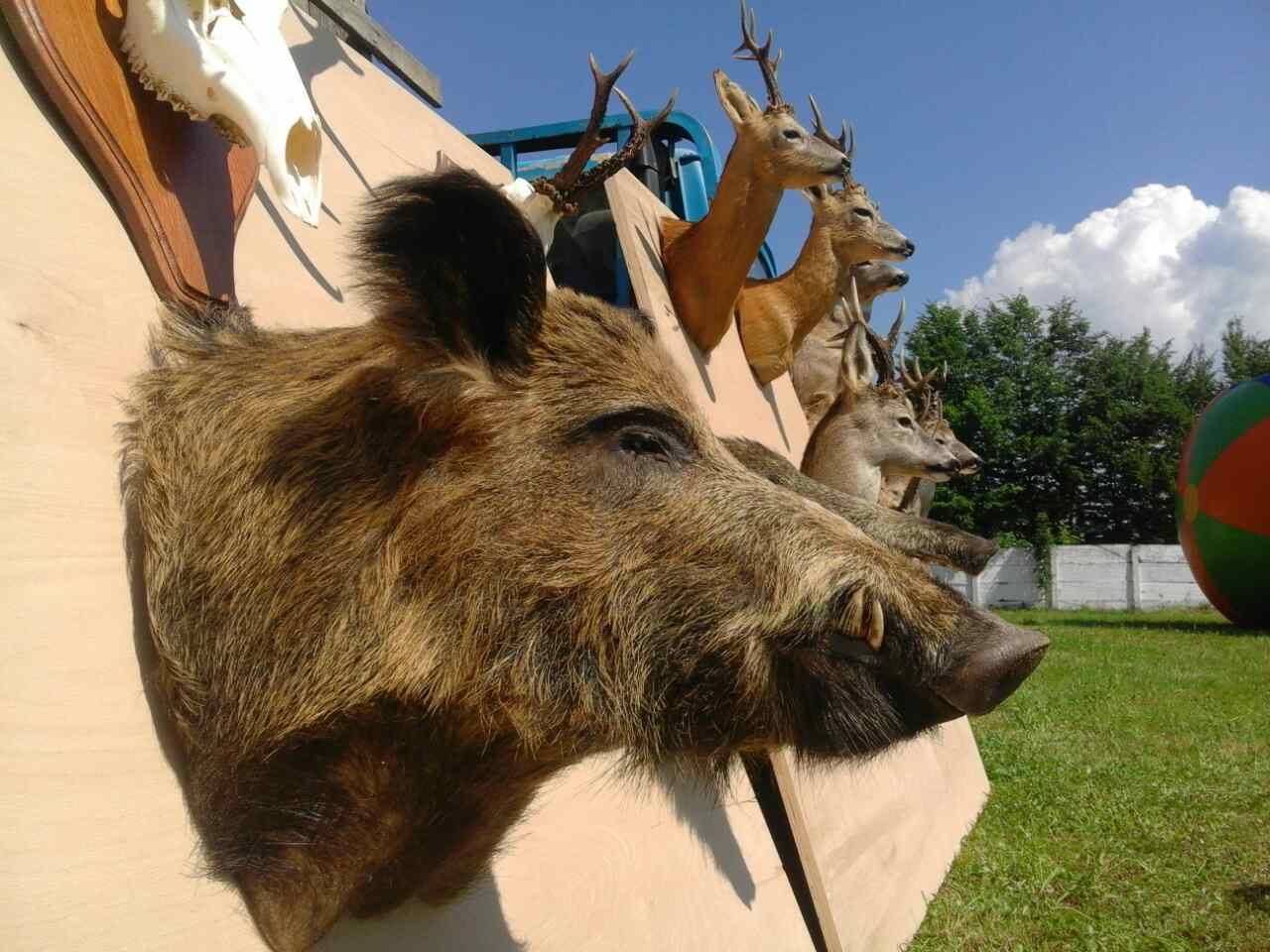 Фестивальне літо в Іршаві відкриває унікальна "виставка-ярмарка мисливської культури"