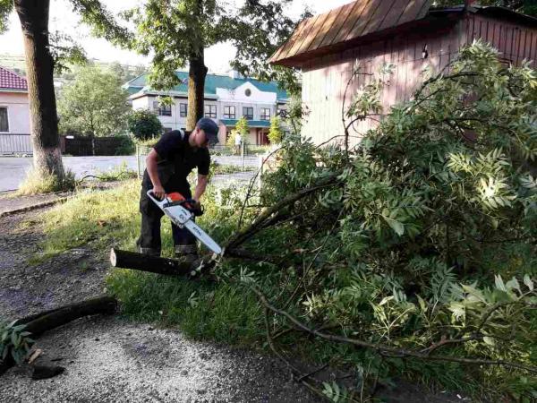 Закарпатські рятувальники ліквідували наслідки "деревопаду"