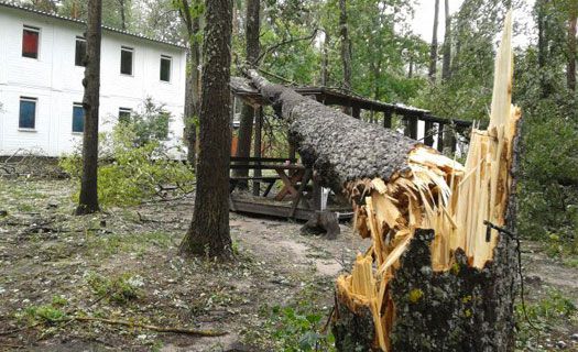 Рятувальники Закарпаття ліквідовували наслідки падіння дерев