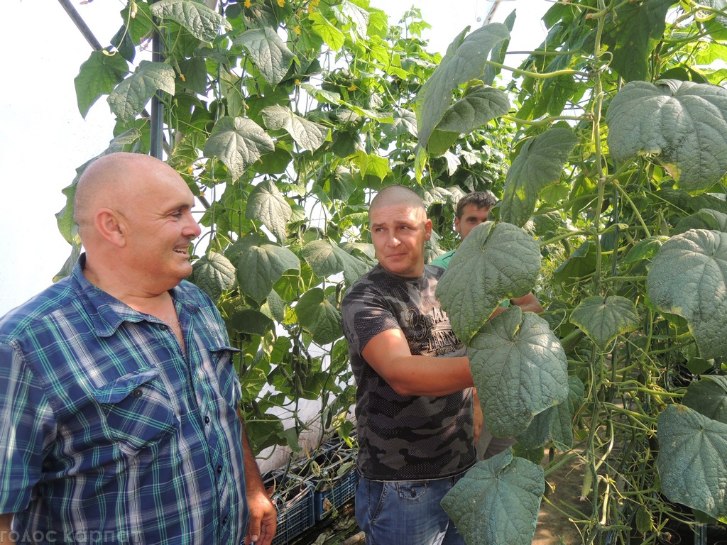 Селяни Ужгородщини обговорили втілення нових технологій для вирощування овочів