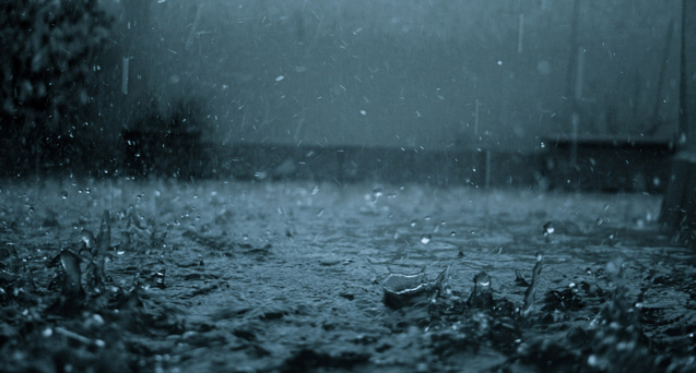 Прогноз погоди на Закарпатті: місцями короткочасні дощі та грози