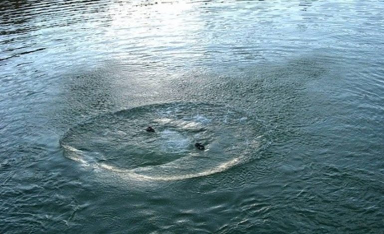 З початку року на Закарпатті зафіксували 22 випадки загибелі людей на воді