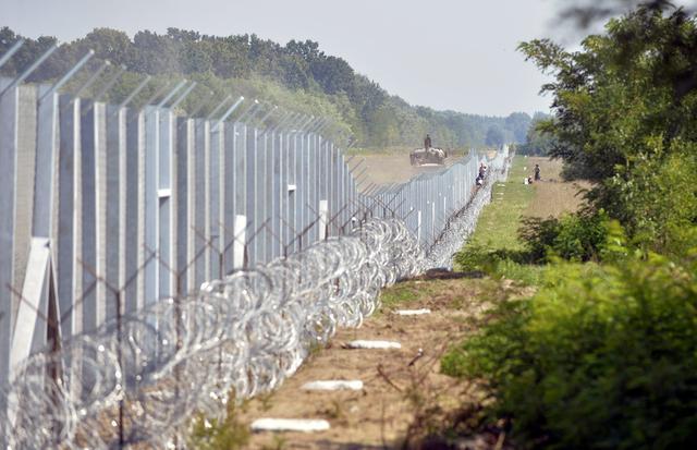 Для чого Угорщина зводить високий колючий паркан на кордоні з Закарпаттям?