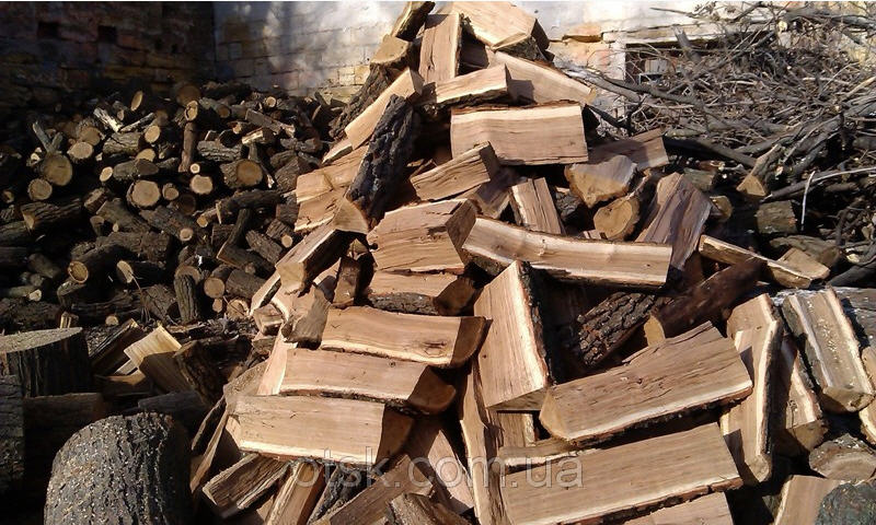 У Свалявському лісгоспі відкрили пункти реалізації дров