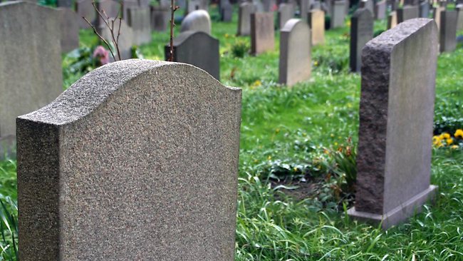 У Мукачівській греко-католицькій єпархії зазначили, які квіти варто нести на кладовище до Дня вшанування пам`яті померлих
