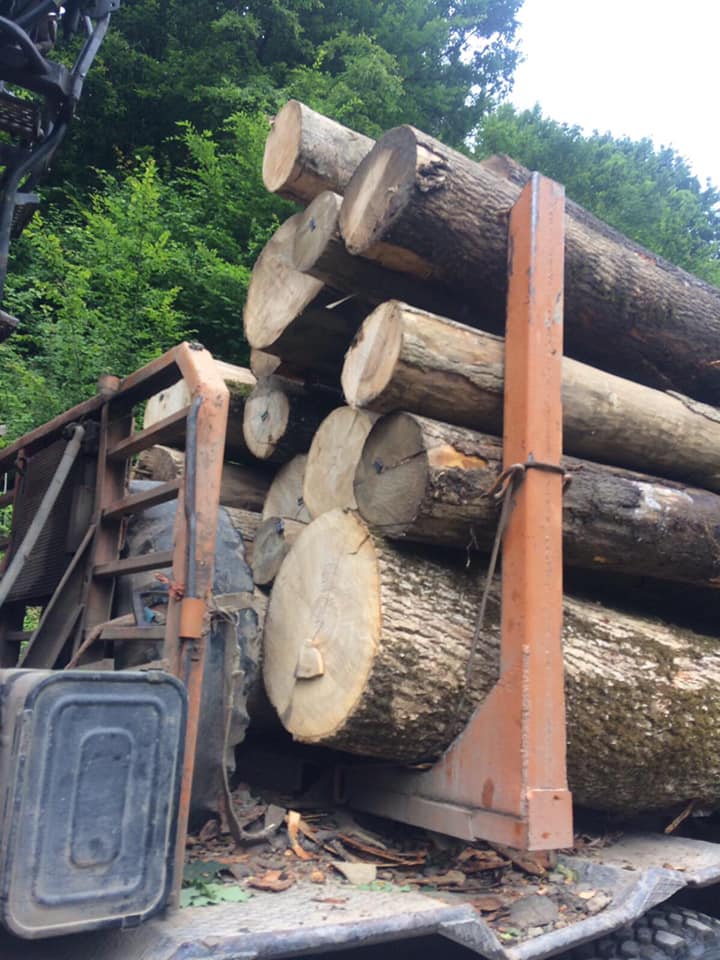 На Рахівщині правоохоронці встановлюють походження деревини, яку перевозили на підставі підроблених документів (ФОТО)