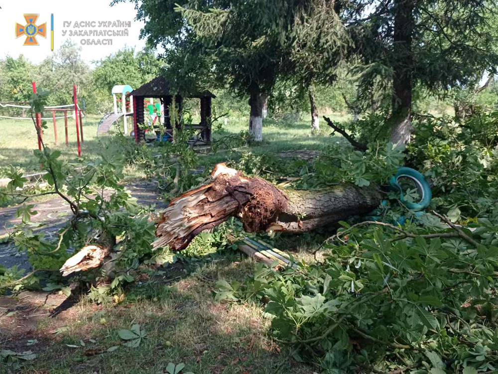 Повалені дерева, заблоковані дороги, знеструмлені населені пункти: оперативна інформація щодо ліквідації наслідків негоди на Закарпатті (ФОТО)