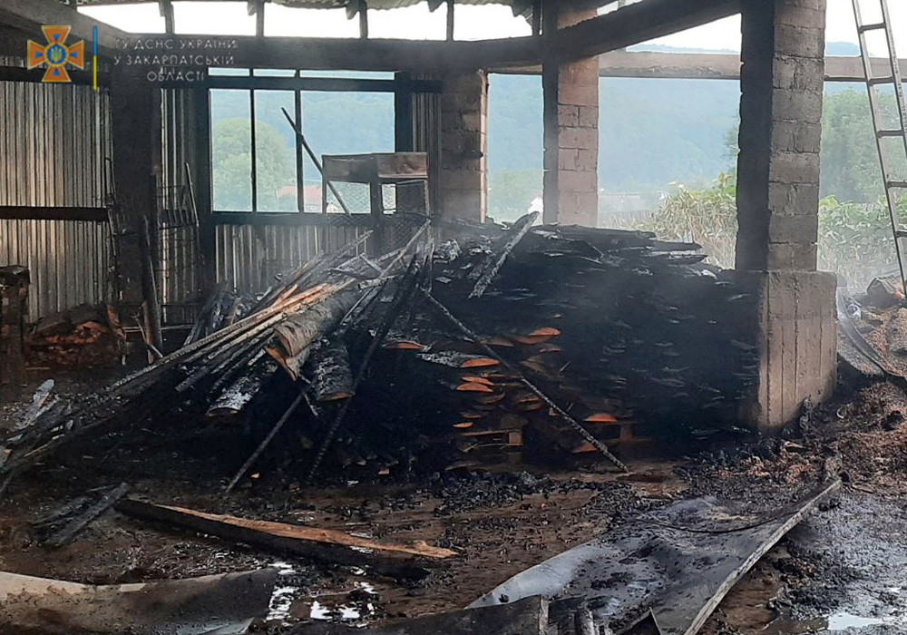 На Рахівщині виникла пожежа на території деревообробного підприємства (ФОТО)