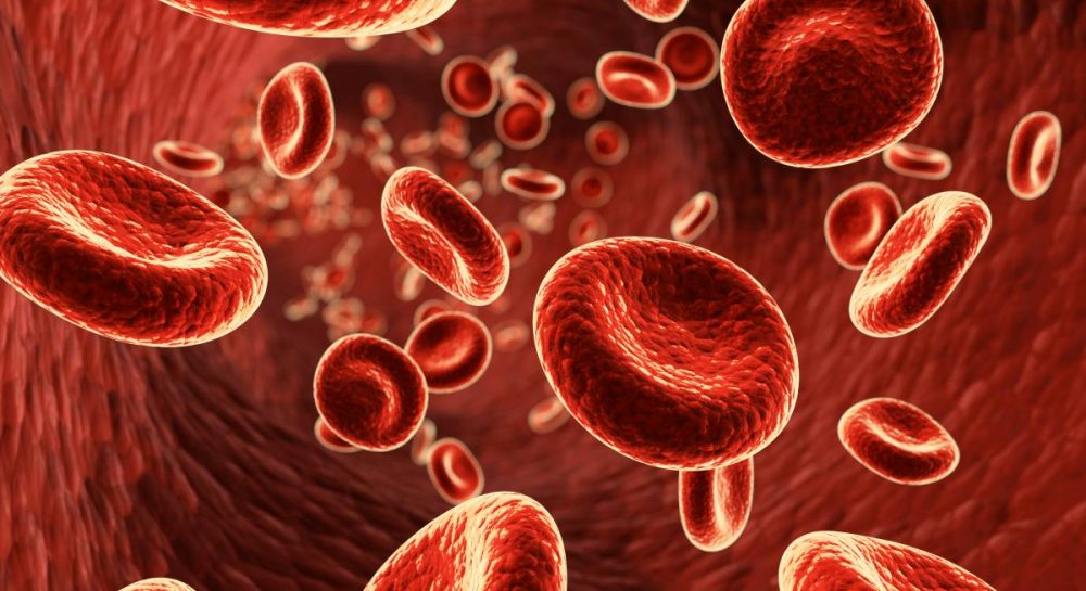 Як підвищити гемоглобін у крові