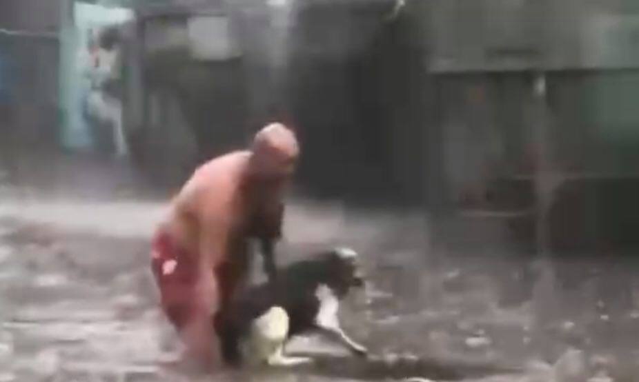 Зворушливі кадри: у Києві після сильної зливи чоловік врятував собаку, яка ледь не загинула у воді (ФОТО, ВІДЕО)