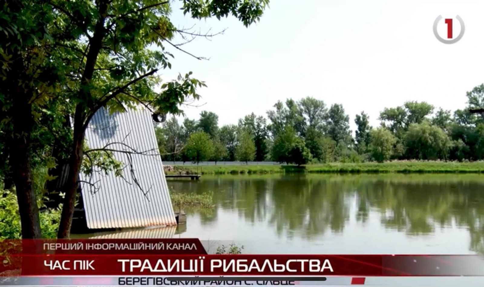 Традиційне та спортивне: ставок неподалік Іршави приваблює любителів рибальства (ВІДЕО)