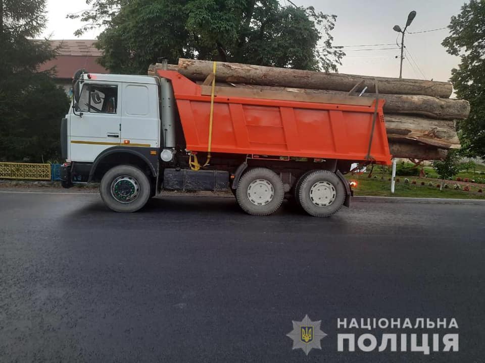 На Рахівщині чоловіку, який перевозив нелегальну деревину загрожує до трьох років ув'язнення (ФОТО)