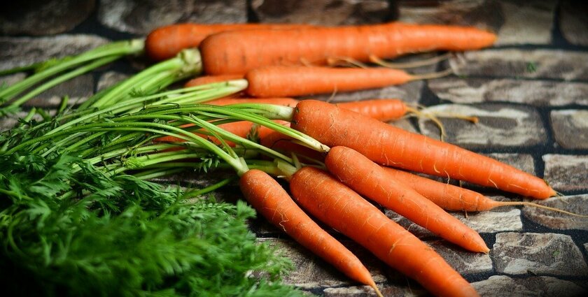 Що буде, якщо їсти моркву щодня
