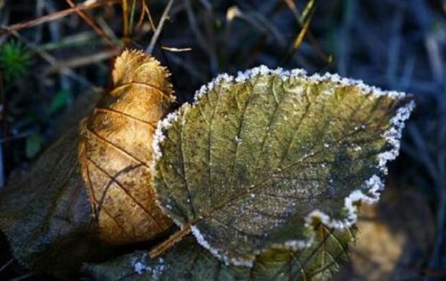 В Україні очікуються перші заморозки: синоптики назвали дату