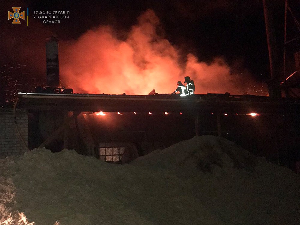 Нічна пожежа охопила цех з виготовлення паливних брикетів на Тячівщина (ФОТО)