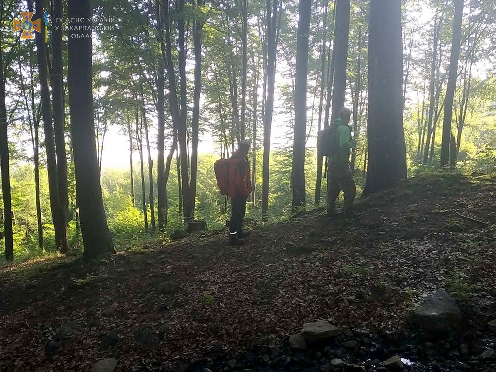 Пошуки почали ще вчора: на Закарпатті у лісі заблукали четверо дітей (ФОТО)