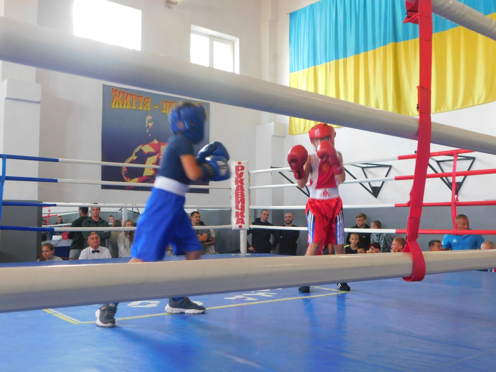 Боксують роми і не тільки: в Мукачеві розпочався турнір з боксу, присвячений шостій річниці клубу «Ром-спорт» (ФОТО)