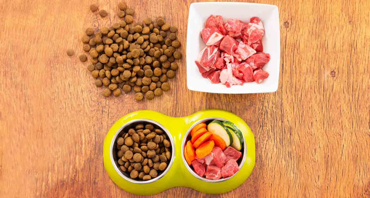 Натуральна їжа чи готовий корм: чим краще годувати собак та котів
