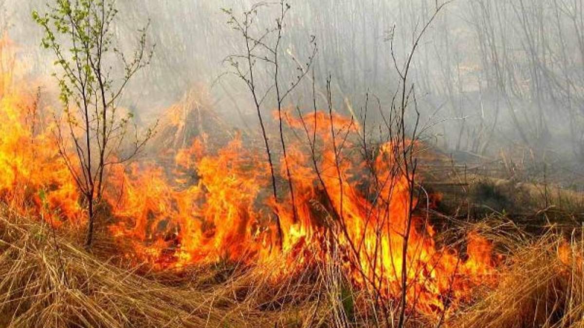 Закарпатські поліцейські нагадали про відповідальність за спалювання сміття та трави