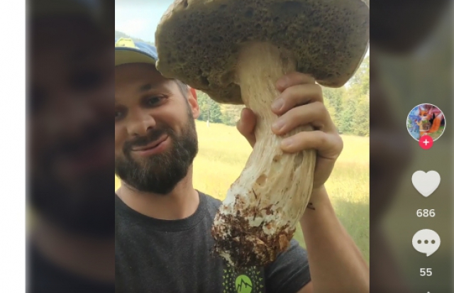 Гігантський білий гриб: чоловік похизувався своєю знахідкою на Закарпатті (ВІДЕО)