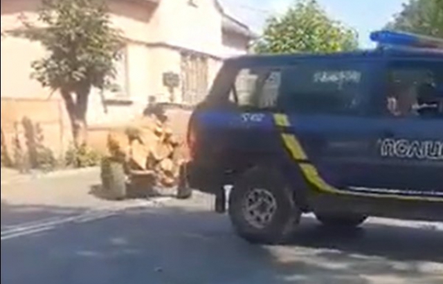 Закарпатські поліцейські тягнули віз з дровами на службовому авто (ВІДЕО)