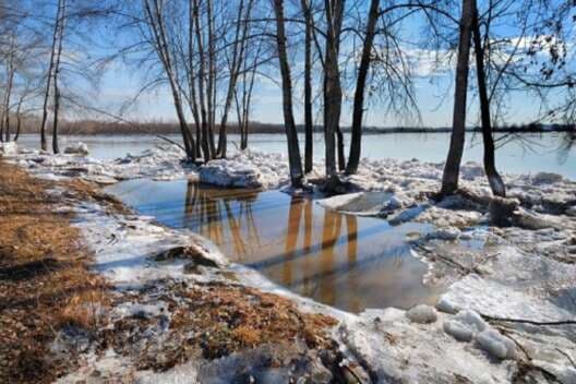 Через 20-25 років в Україні може зникнути зима, - Укргідрометцентр