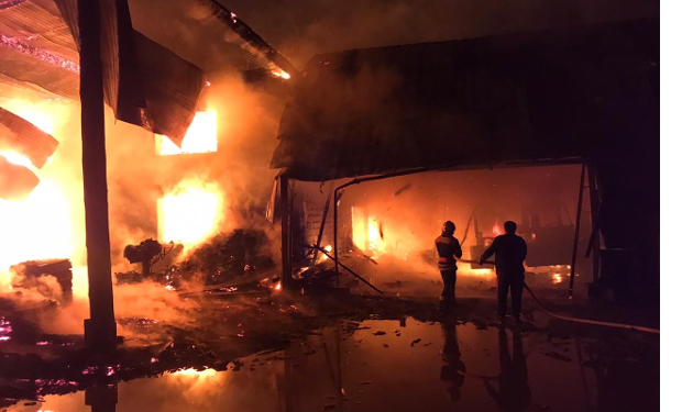 Трагедія на Тячівщині: через пожежу на деревообробному підприємстві та корівнику загинула людина