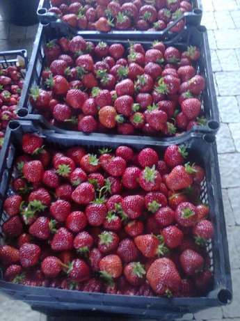 Ціни на ягоди в Ужгороді впали