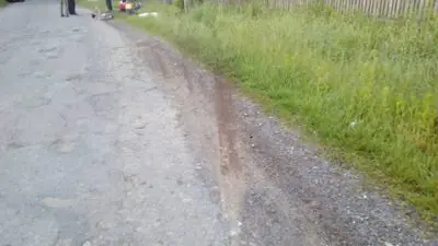 PM805image006
