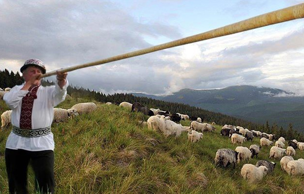 Міжгірщина запрошує на традиційне вівчарське свято