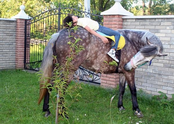 Особливих діток на Закарпатті лікують коні