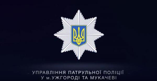 Поліція показала, як затримувала підозрюваного в підпалі авто в Ужгороді (Відео)