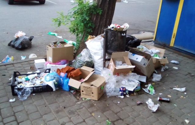 На стихійних звалищах у Берегові журналіст шукає прізвища порушників