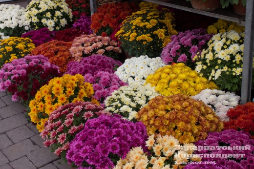 Які ціни в Ужгороді на квіти та свічки напередодні Дня вшанування пам`яті померлих?
