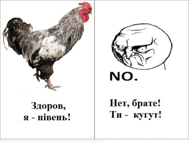 Закарпатський говірник: корисно для тих, хто їде до нас