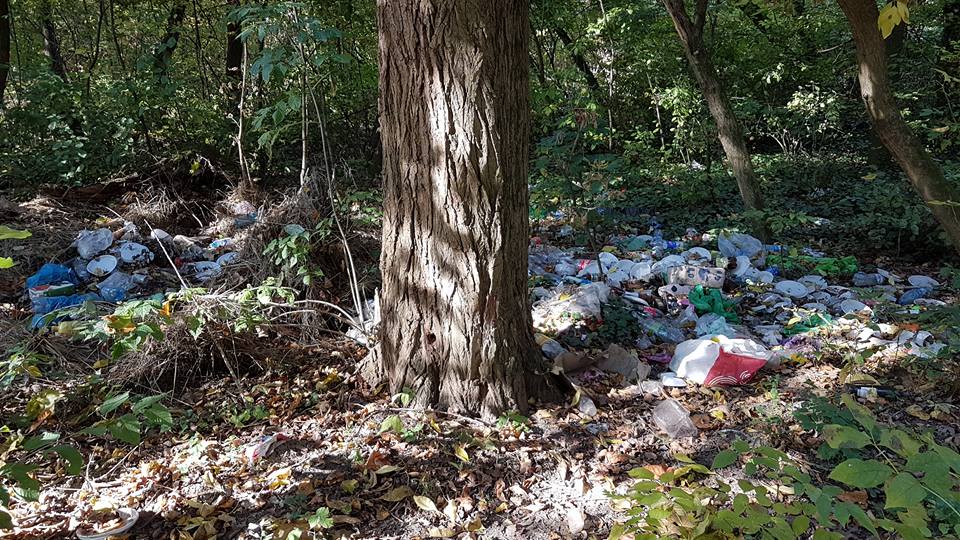 Боздоський парк в Ужгороді перетворюють на стихійне сміттєзвалище