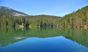 2923252_large