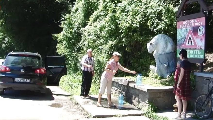 На Перечинщині ведмеді «роздають» воду