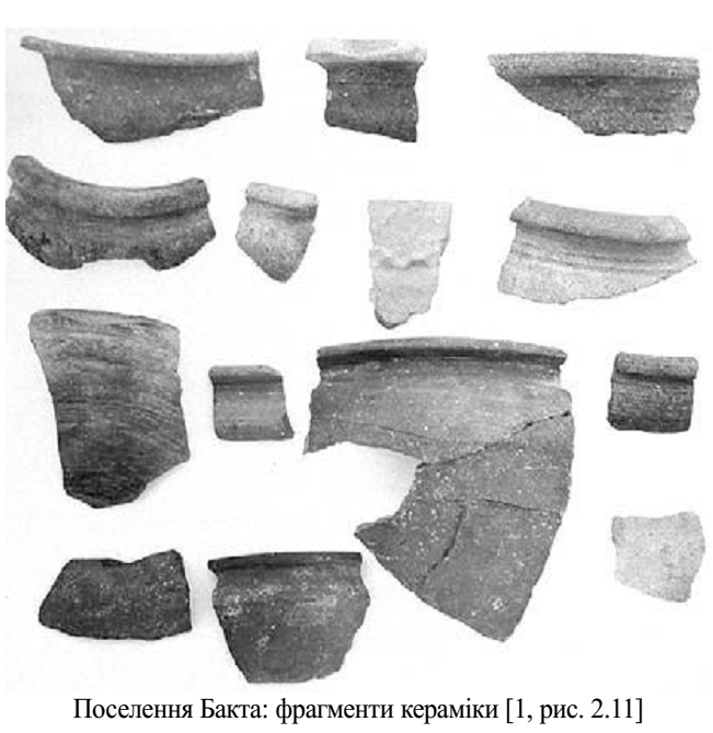 Пам’ятки латенської культури Закарпаття