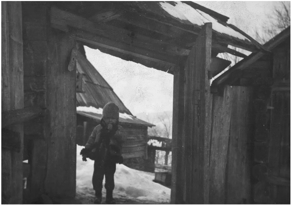 15289233_1250337961679799_4683224199657231716_o