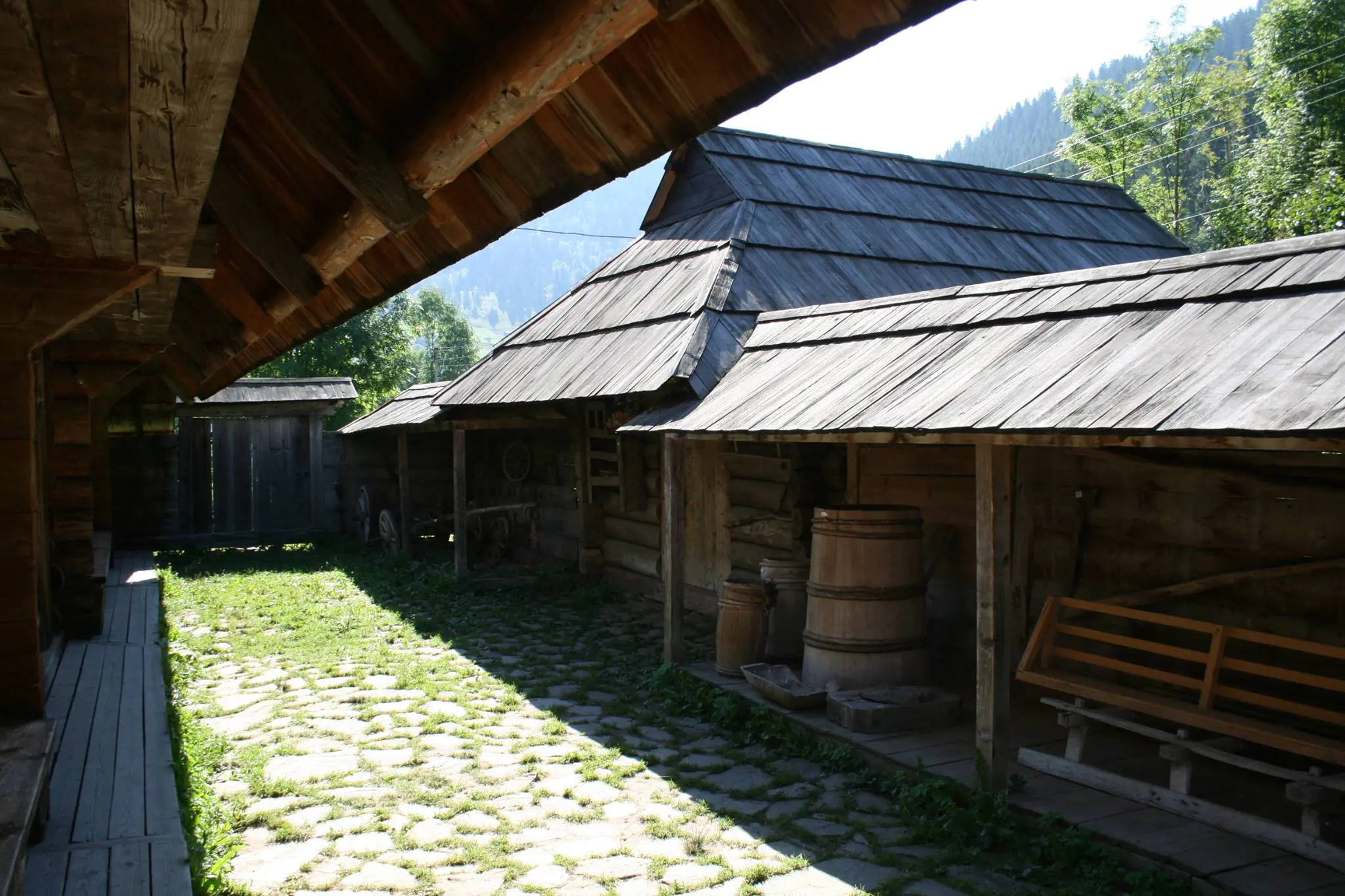 15326108_1250338138346448_7540123818850449606_o