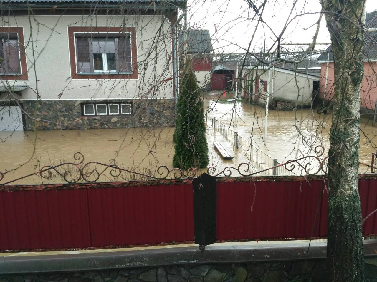 У с.Вонігово на Тячівщині річка прорвала дамбу й підтопила 22 житлові будинки» (+ ФОТО, ВІДЕО)