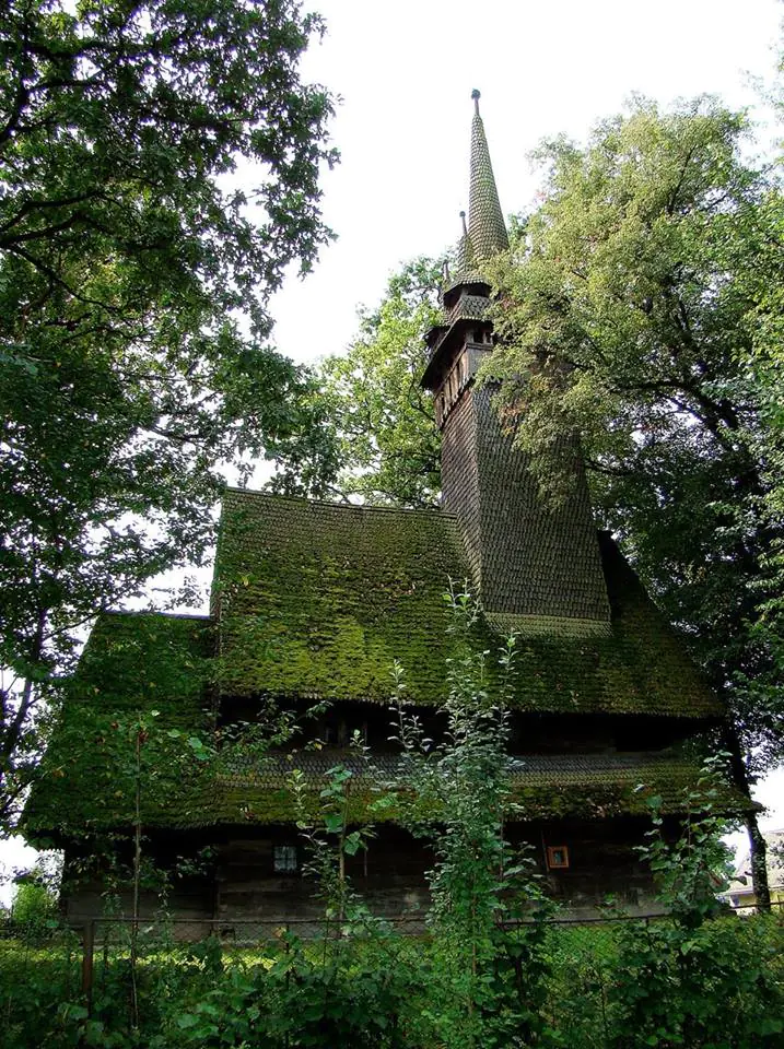 крайниково4