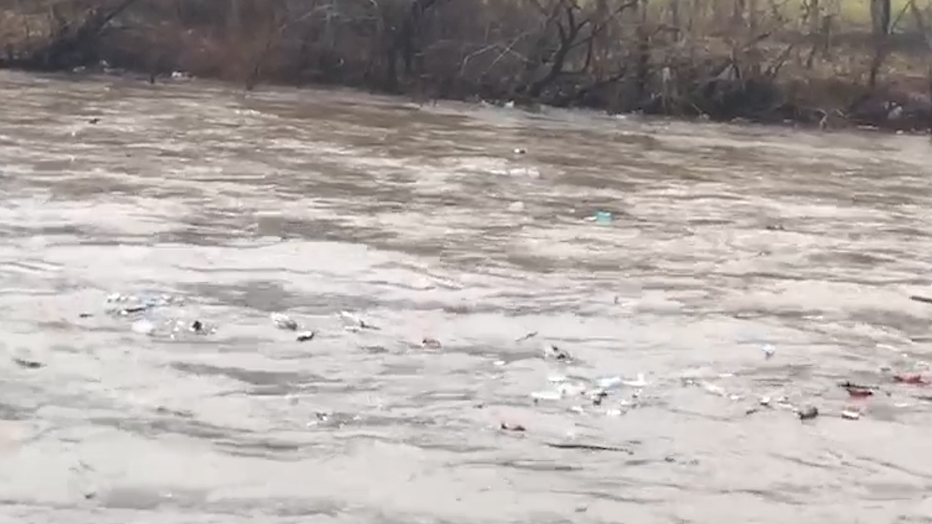 Опади на території Закарпаття не припиняються, річки наповнюються все більше