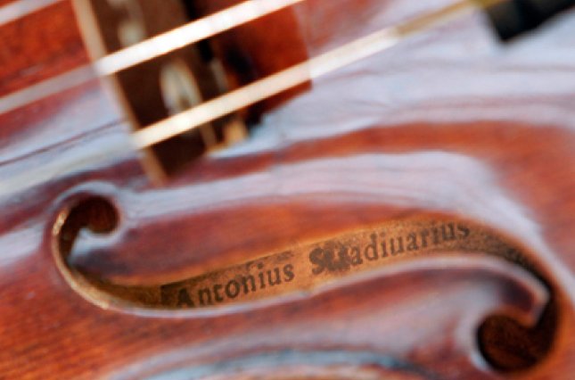 На Закарпатті є деревина, з якої виготовляли унікальні скрипки «Страдіварі»