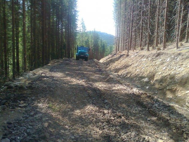 Брустурянський лісгосп в лідерах по будівництву лісових доріг