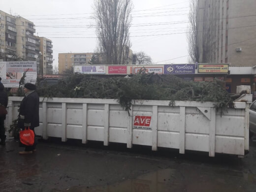Покинути продавцями в Ужгороді ялинкі поїдуть на смітник