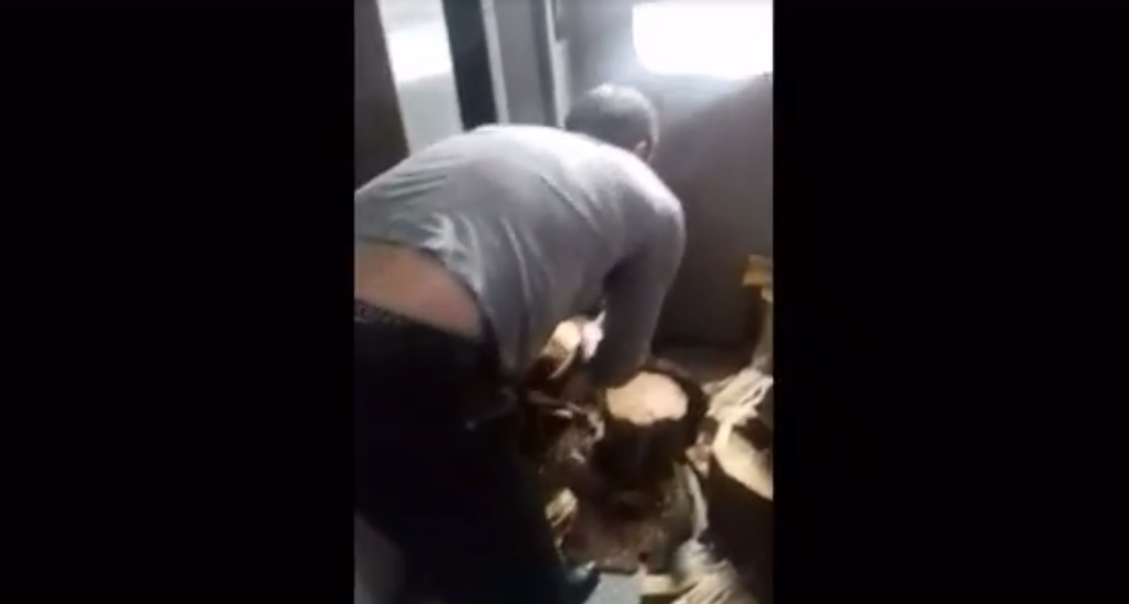 В поїзді Одеса-Ужгород пасажири самі рублять дрова (ВІДЕО)