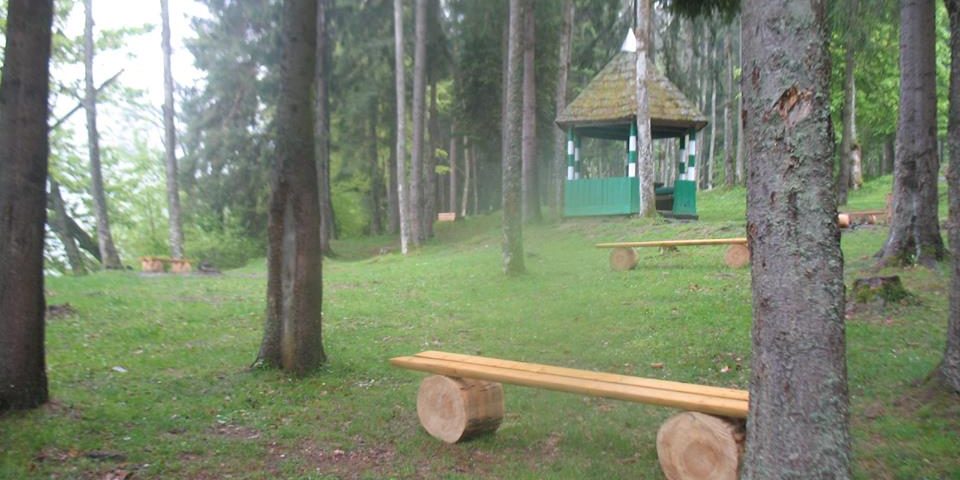 У лісах Хустщини за 2017 рік створили 3 нових місця для відпочинку